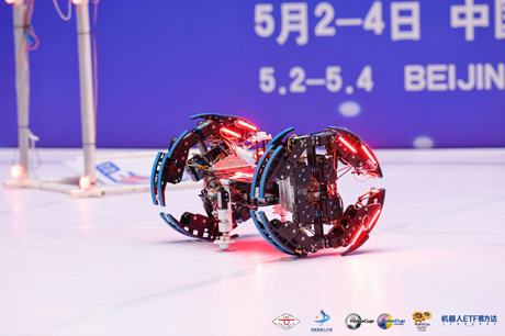 555.jpg