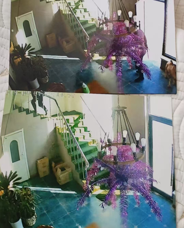 辽宁444.jpg