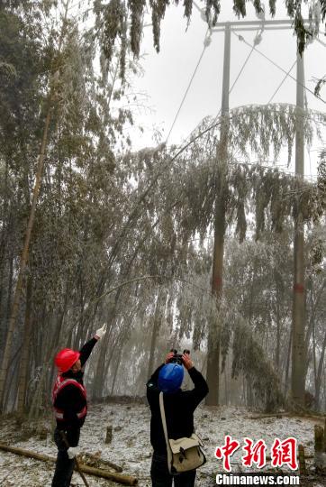 漳平市供电公司双洋供电所组织工作人员开展雪中特巡，用望远镜观察线路覆冰情况。　俞婷婷 摄
