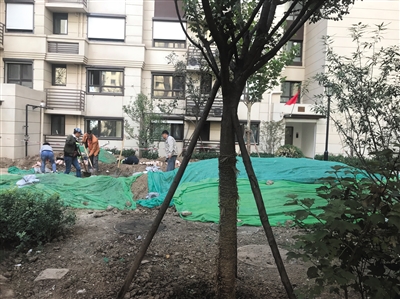  9月30日，在天恒·绿湾星苑小区内施工的工人称，他们正在安装天然气管道。新京报记者 张建 摄