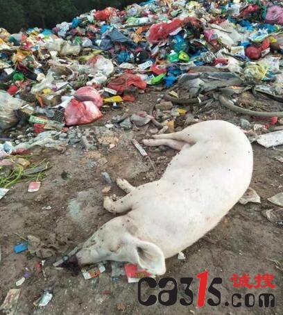 TIM截图20190731163819.jpg