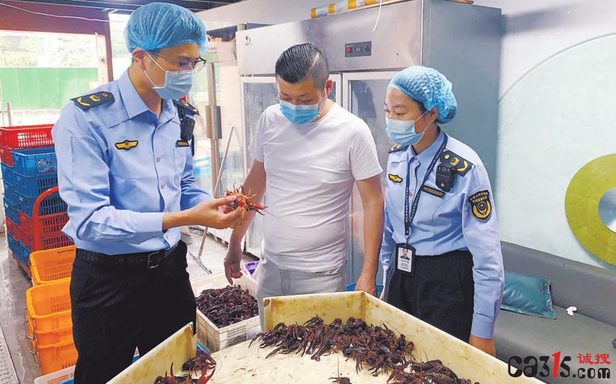 杭州钱塘区市场监管局开展小龙虾专项执法行动
