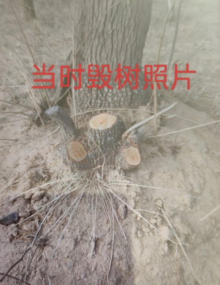 QQ截图20231202080422.png