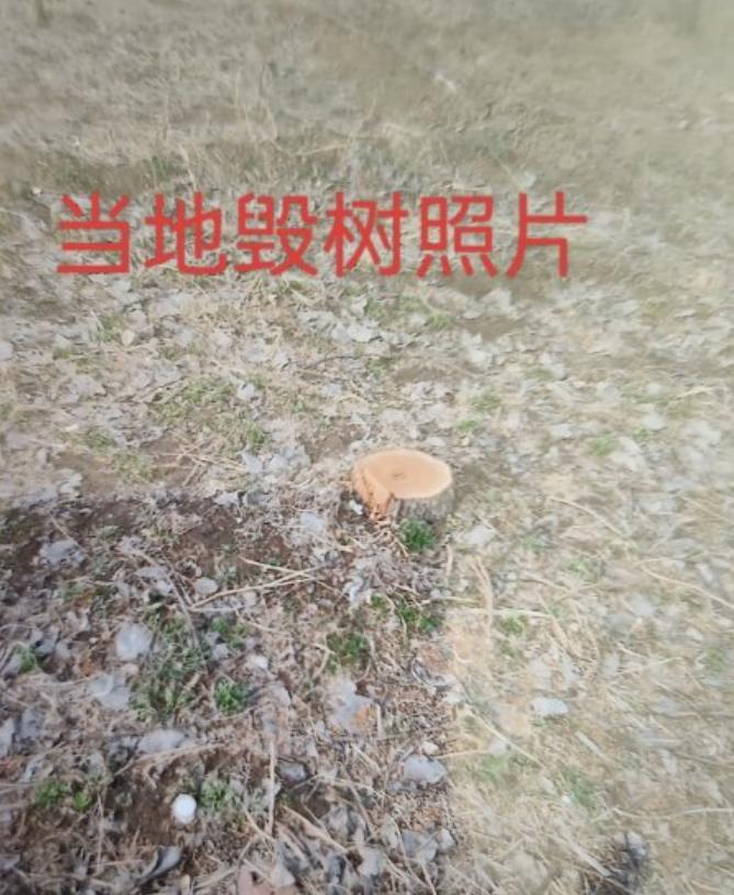 QQ截图20231202080431.png