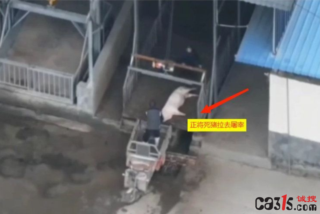QQ截图20231202083943.png