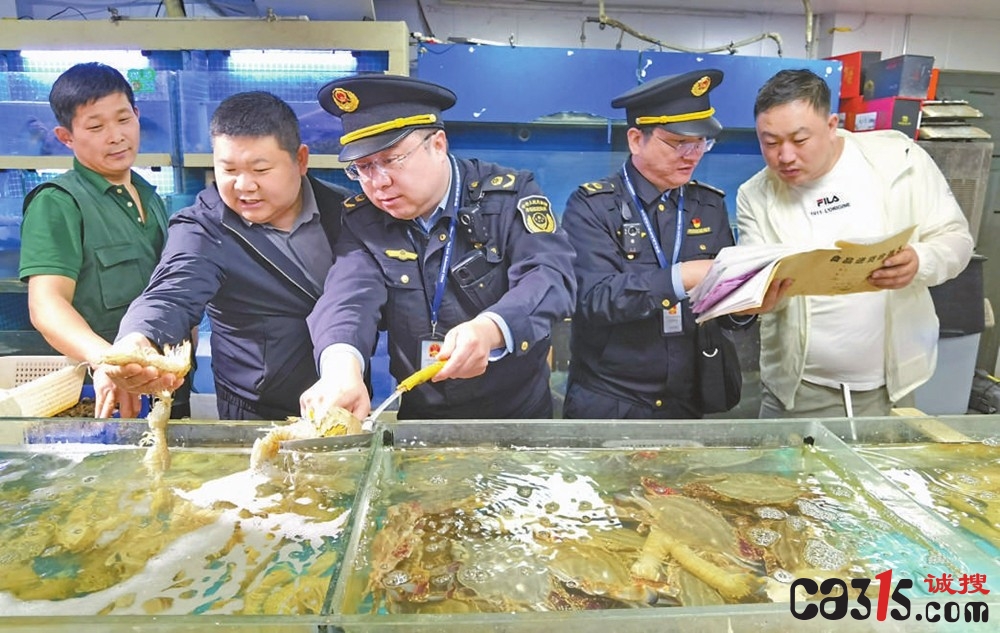 石景山区市场监管局开展海鲜水产品质量安全专项检查