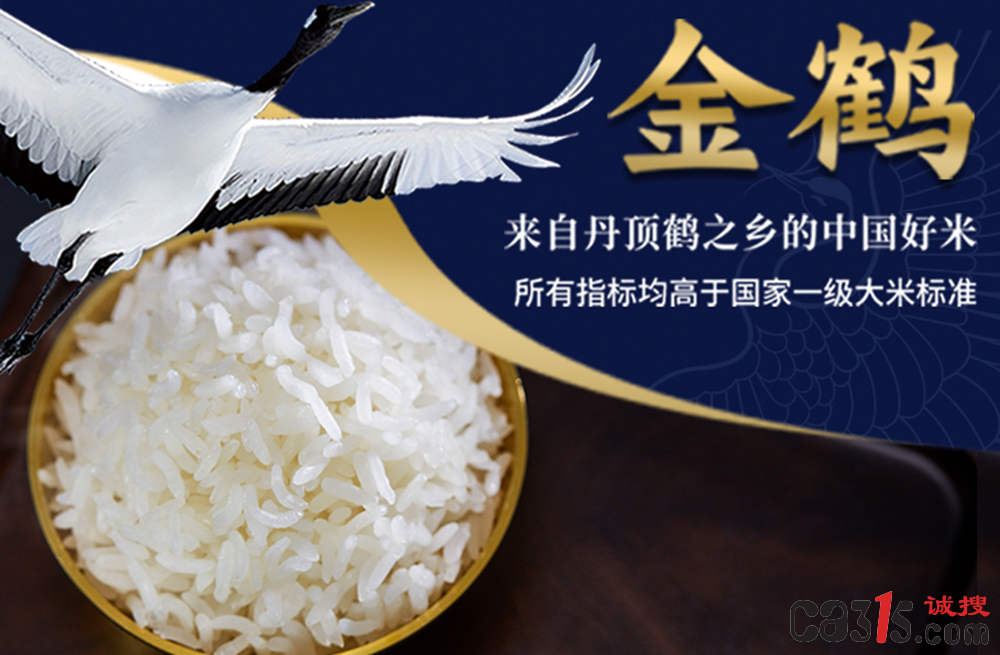 QQ截图20240620062615.png