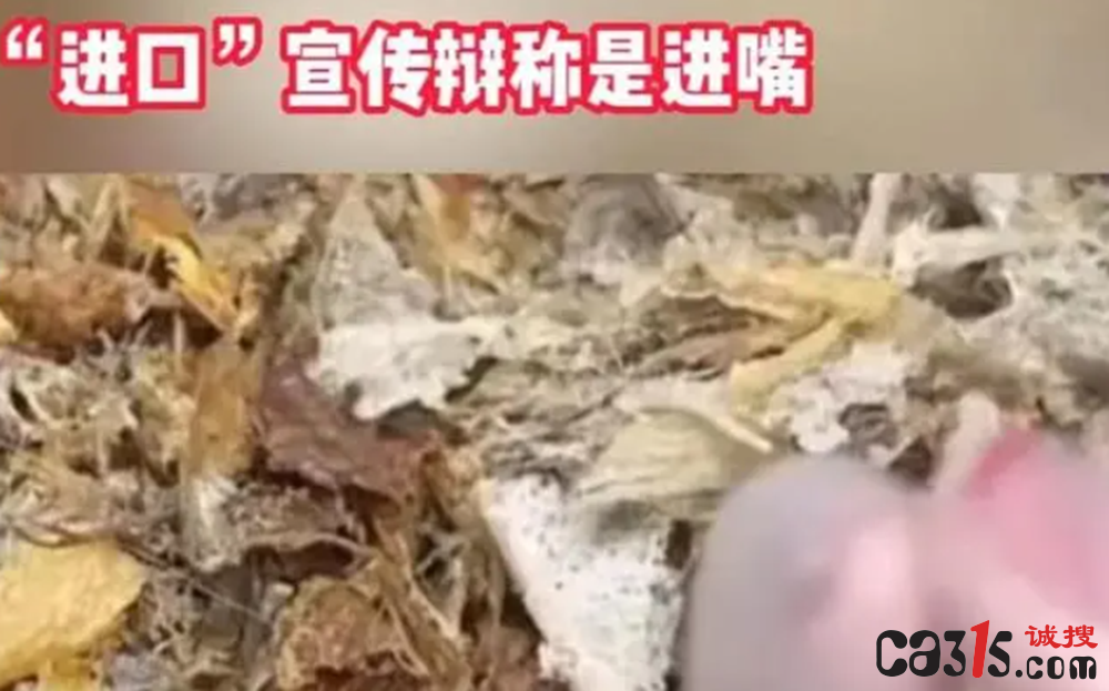 截图20240927235218.png