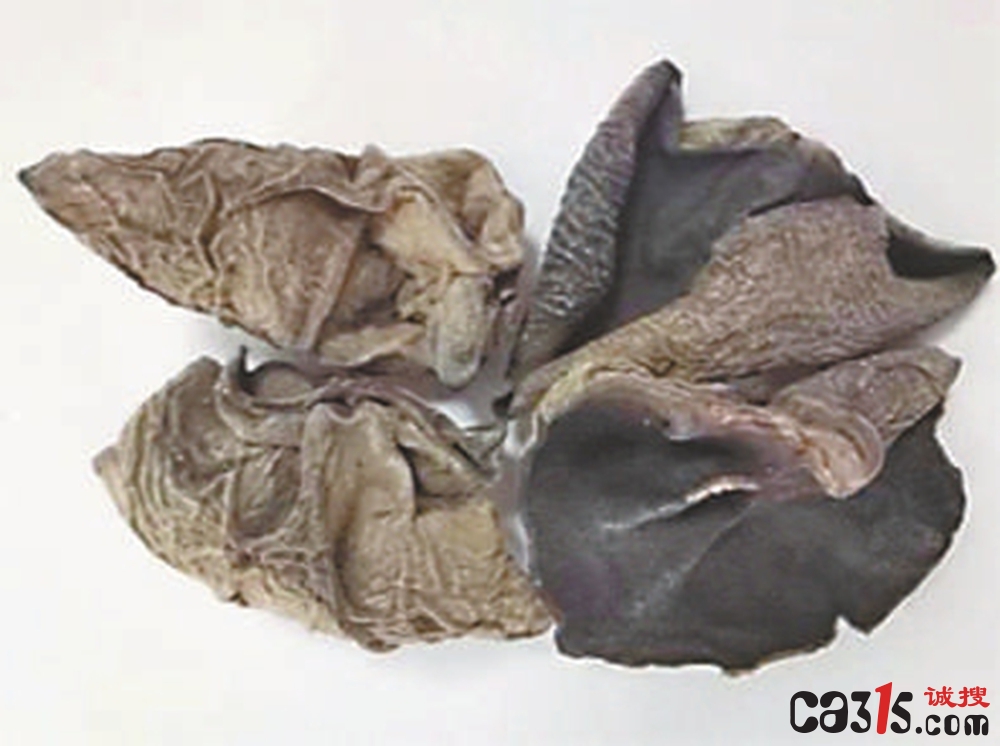 0d30cf94e00bce62fe6be64f680bf6f0.jpg