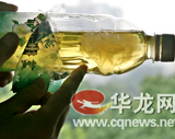 重庆又一市民康师傅茶饮料里喝出“水母”